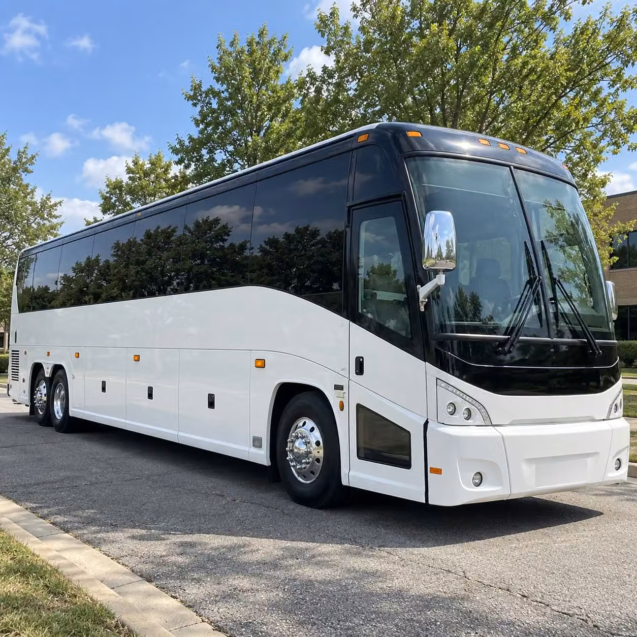 science and nature field trips to mill mountain and the blue ridge parkway
